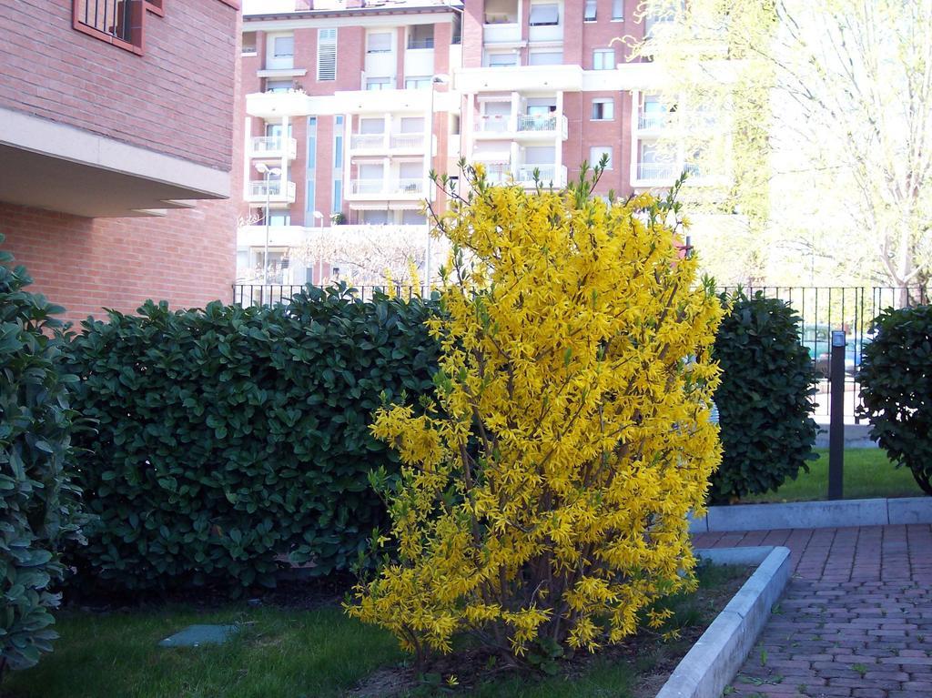 B&B Il Parco Parma Eksteriør billede